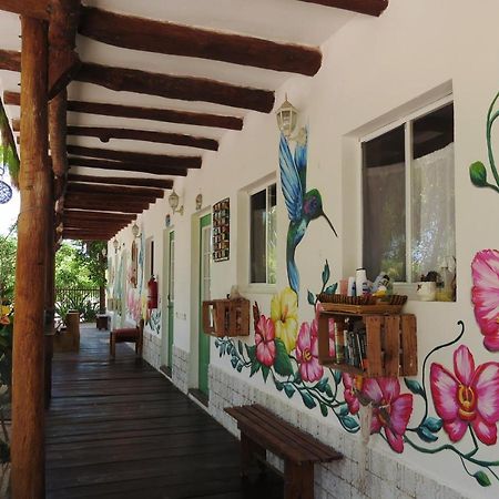 Art Maya Rooms ホルボックス島 エクステリア 写真